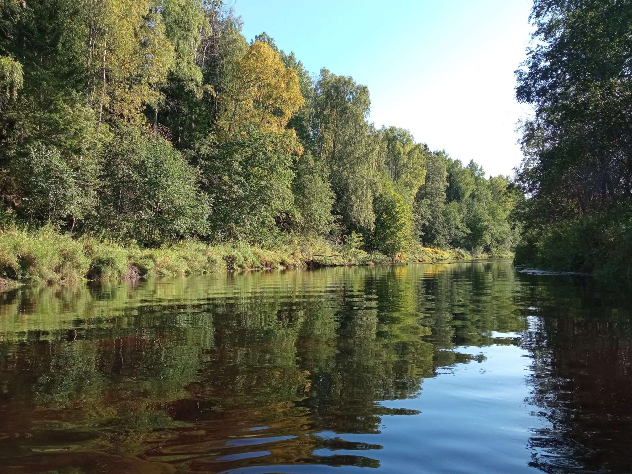 Река Оредеж рыбалка