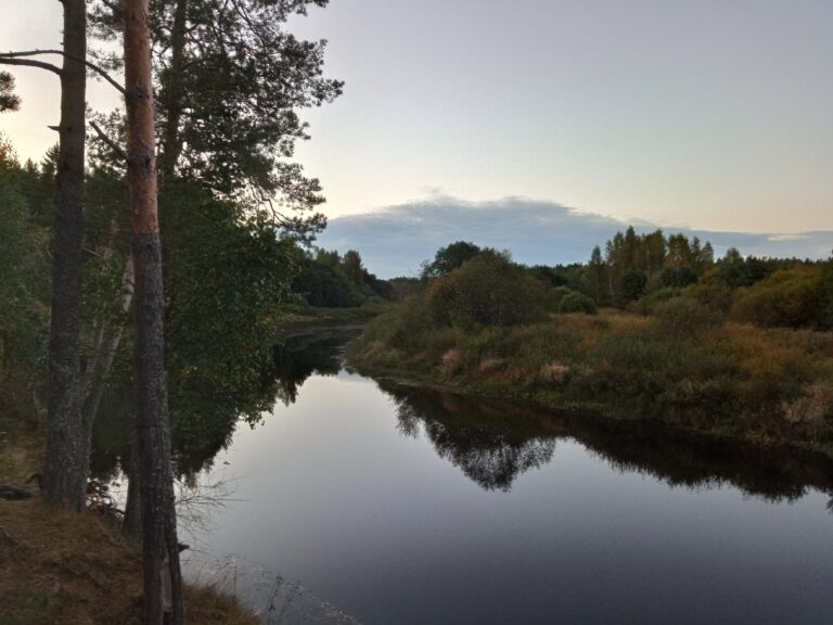 Река Оредеж: от Вырицы до Торковичей за семь дней