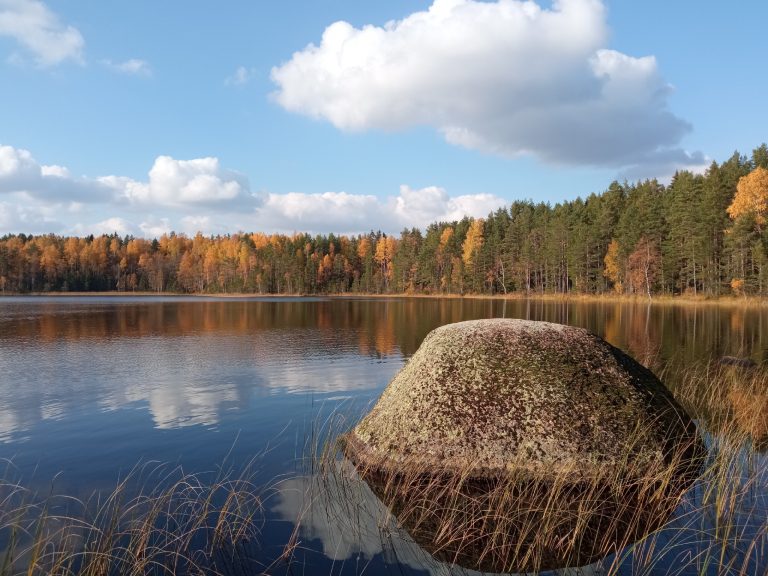 Золотая осень на озёрах нитки Кирилловское-Заходское-Каннельярви