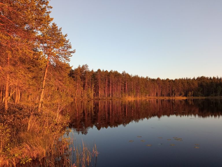 Экологический маршрут “Карельская тишина” вокруг озера Мелководного, которого я так и не увидел