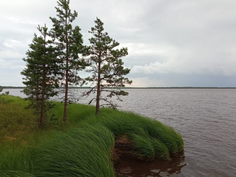 Поход к Чёрному озеру – сердцу Глебовского болота