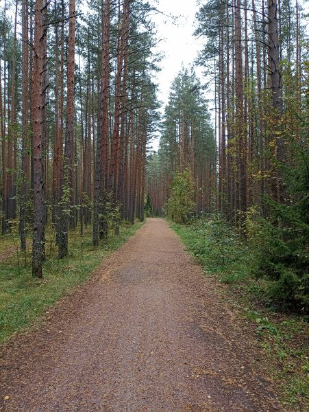 Ленинская тропа